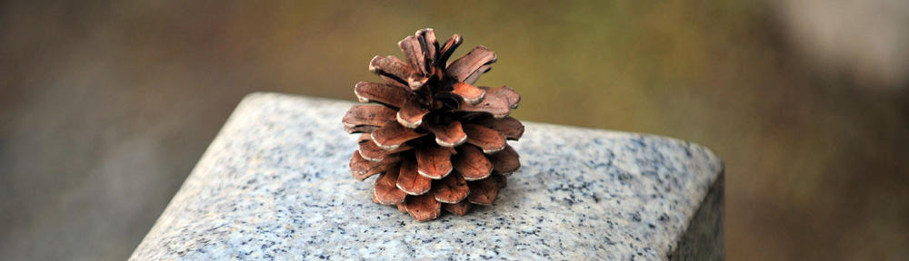 Pompes à vide